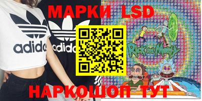 прущие грибы Ирбит