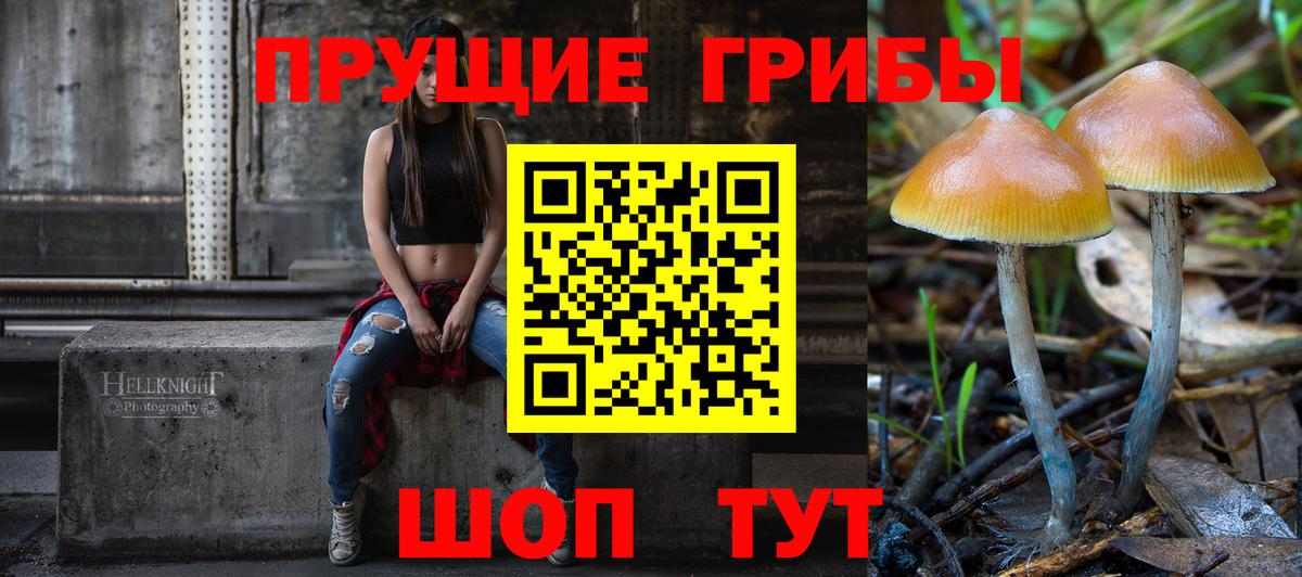 Псилоцибиновые грибы мухоморы  Псилоцибиновые грибы Psilocybe  Киреевск  Вход с VPN 